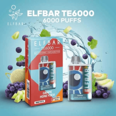 Buy Elf bar TE 6000 India at best price