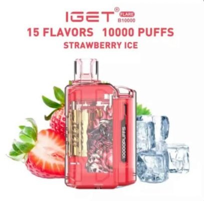 IGET FLARE B10000 Puffs Rechargeable Vape India